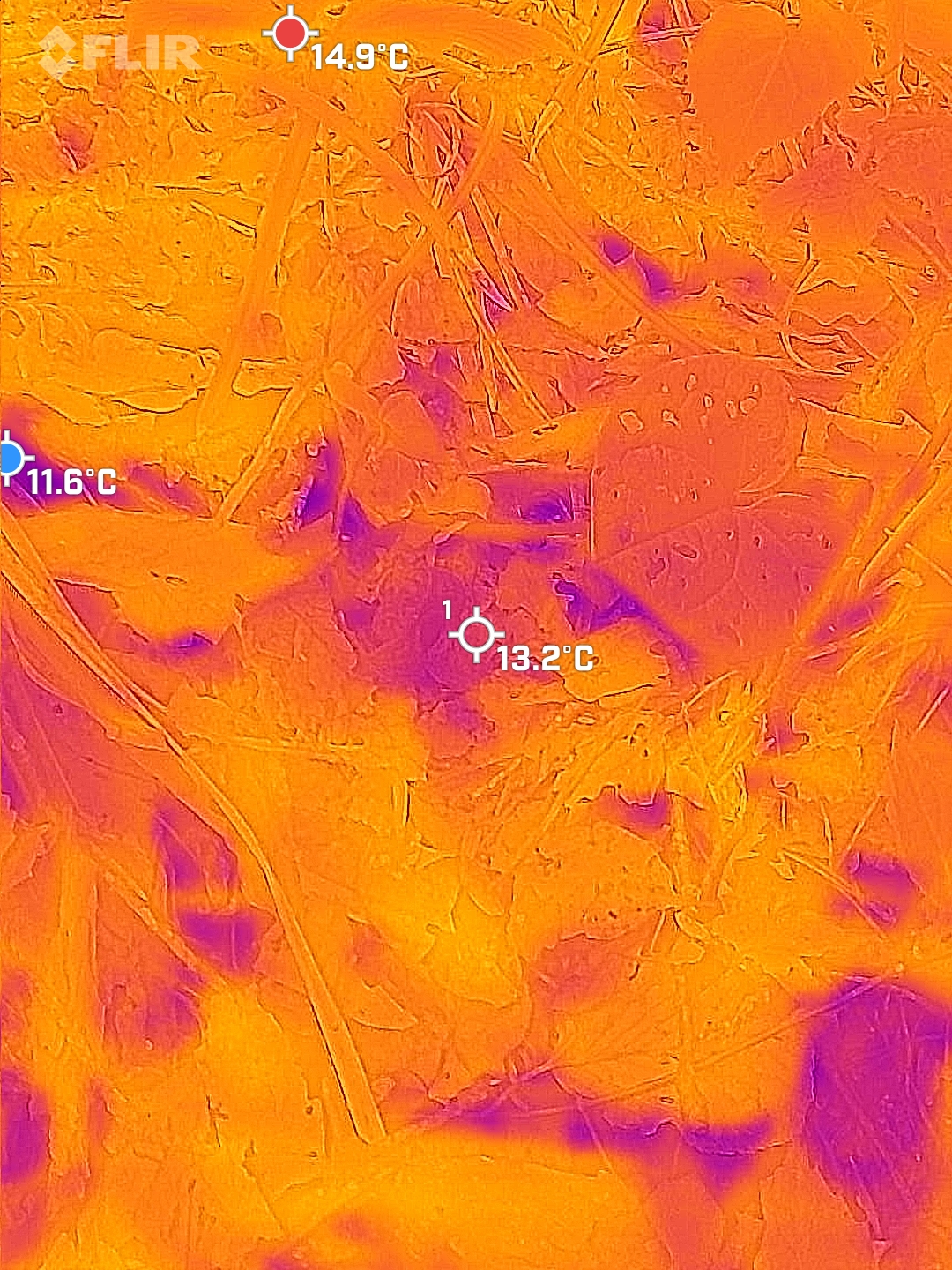 38.072211,139.665922